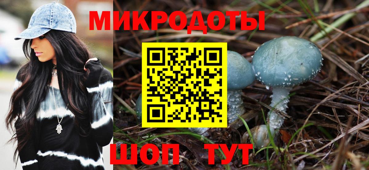 Псилоцибиновые грибы Cubensis Курчалой