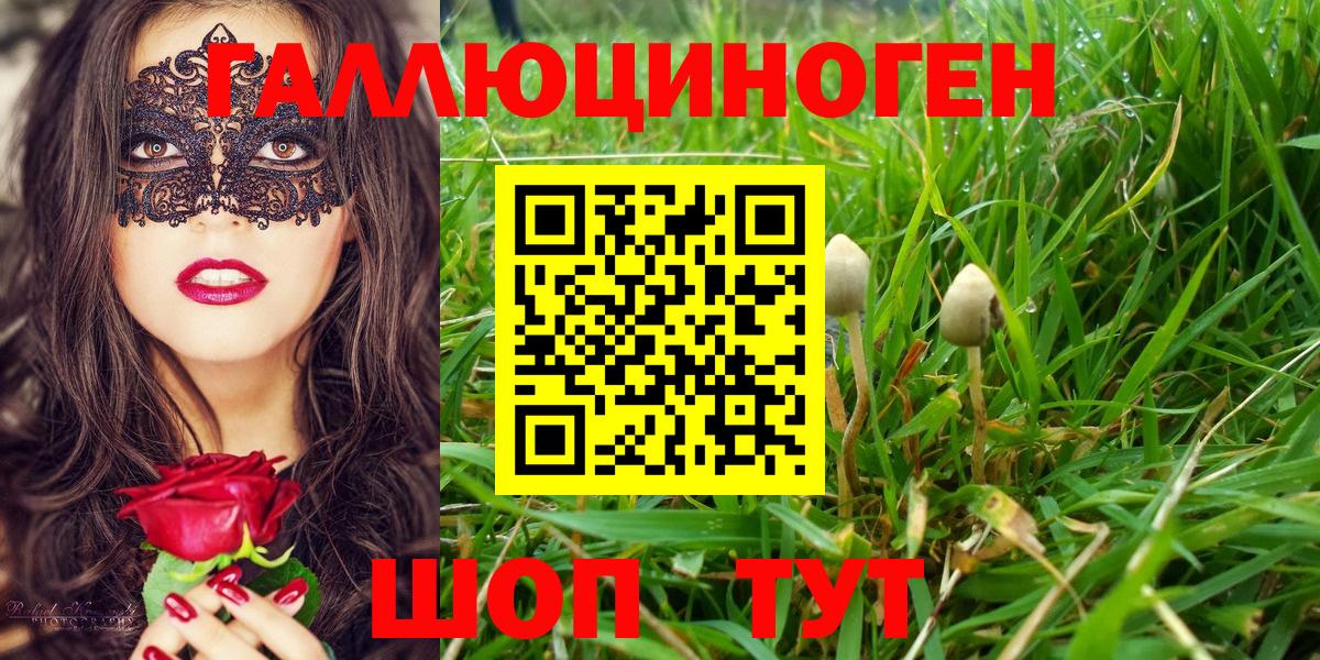 Псилоцибиновые грибы MAGIC MUSHROOMS  Вход с VPN  Курчалой 