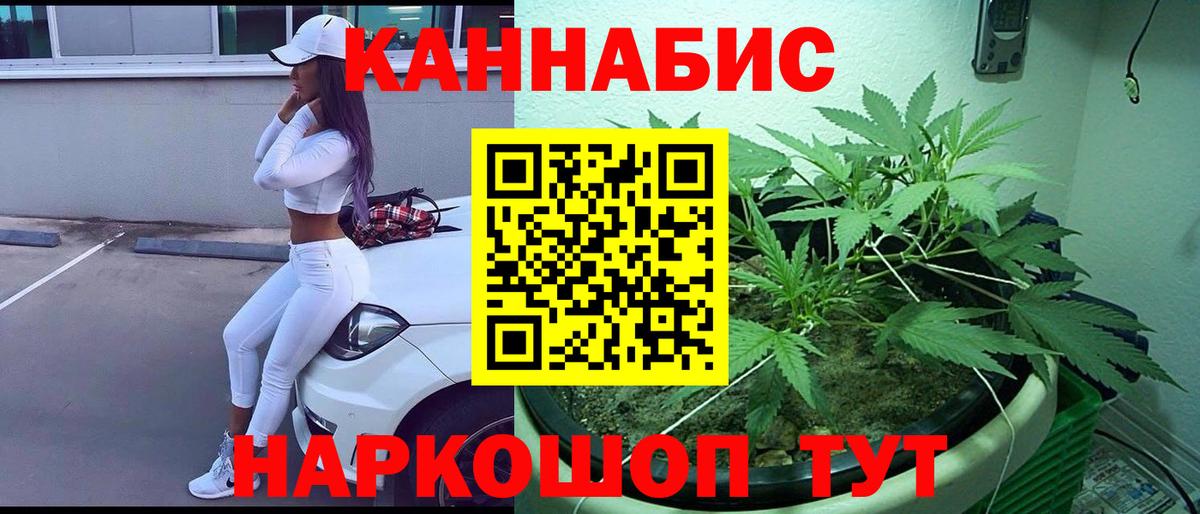 Шишки марихуана Bruce Banner  Конопля марихуана  Бошки Шишки Bruce Banner  Вход с VPN  Курчалой 